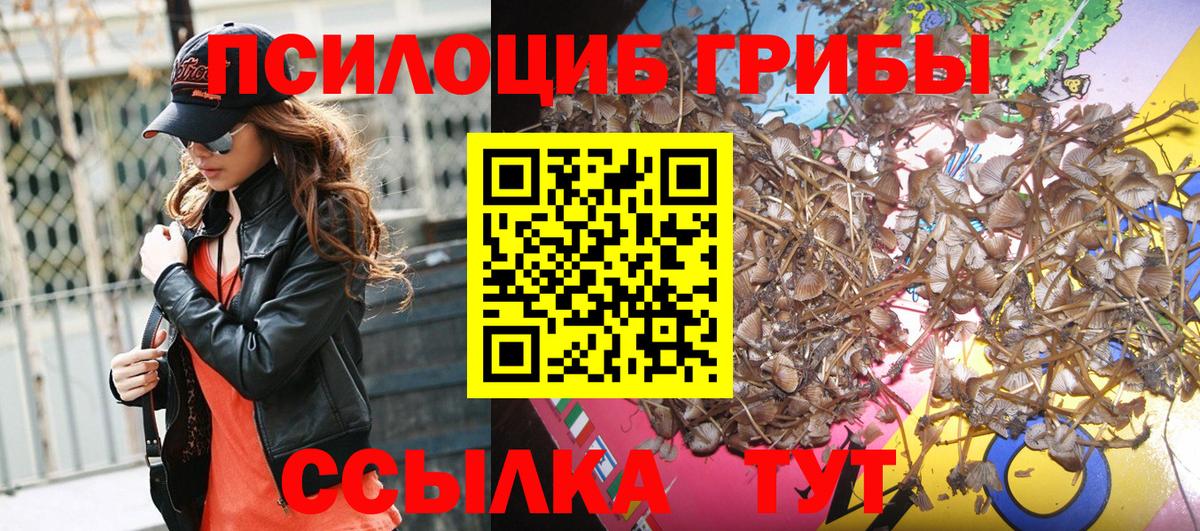 Псилоцибиновые грибы MAGIC MUSHROOMS Знаменск