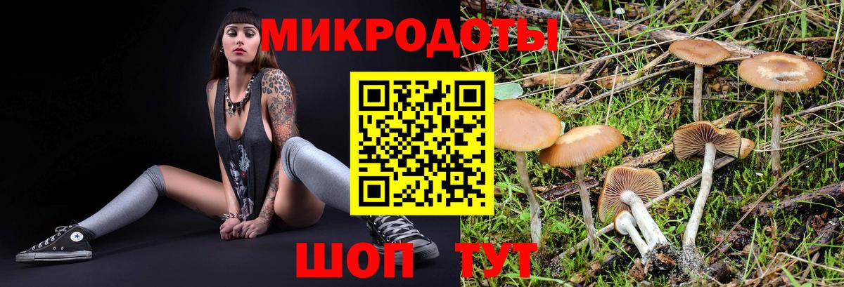 Знаменск  Галлюциногенные грибы Cubensis  Вход с VPN 
