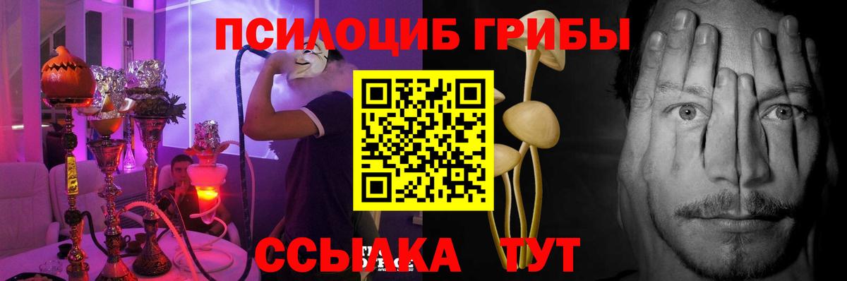 МЕФ кристаллы  Гашиш  Конопля  LSD-25  Сколько стоит  Вход с VPN  COCAIN  Знаменск  A PVP СОЛЬ кристаллы 